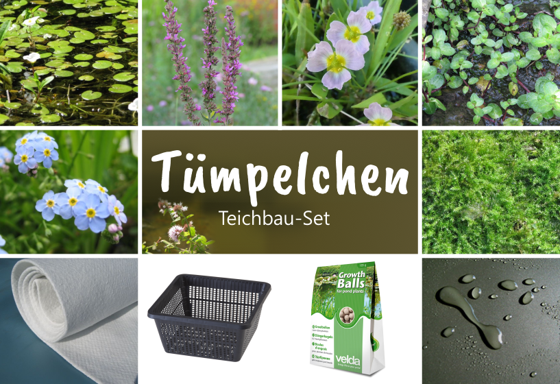 Miniteich Komplettset