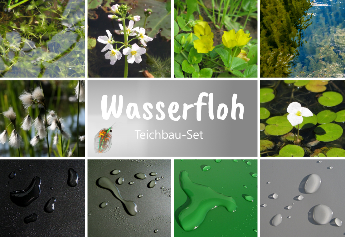 Fertigteich "Wasserfloh"